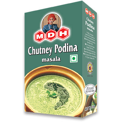 MDH Chutney Podina 100 Gram