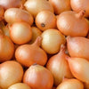 Fresh Onions 5Kg- 25Kg